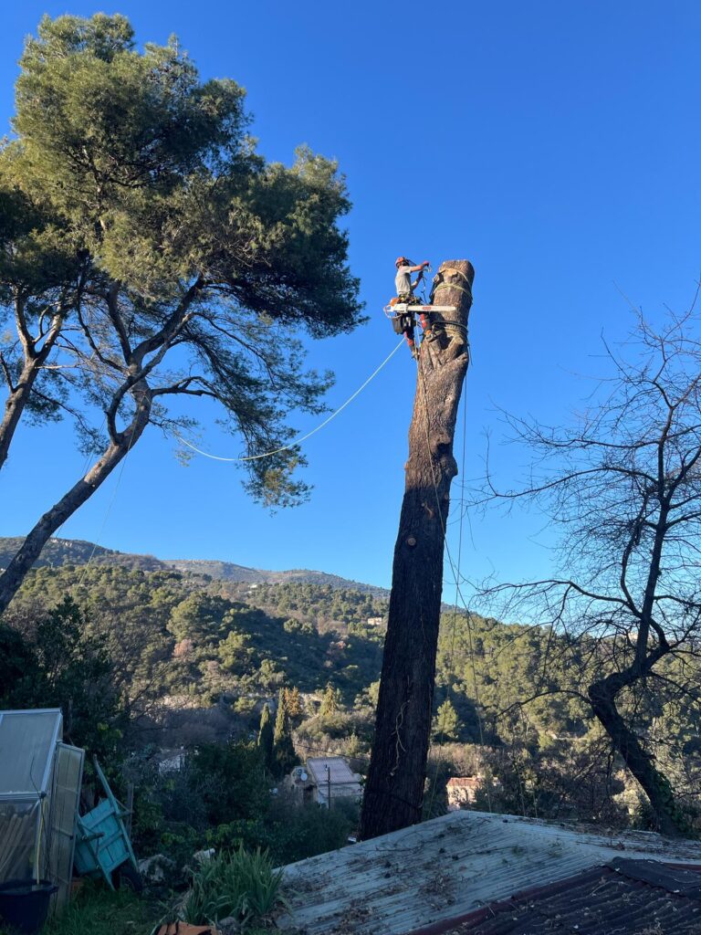 démontage arbre sous contrainte carros