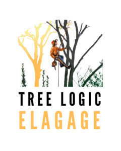 tree logic élagage
